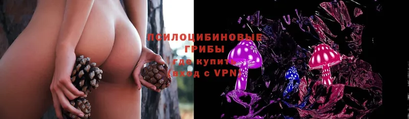 Псилоцибиновые грибы Psilocybe  Верхняя Пышма 